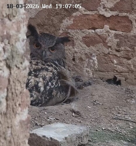 Screenshot_20260318_213720_YouTube