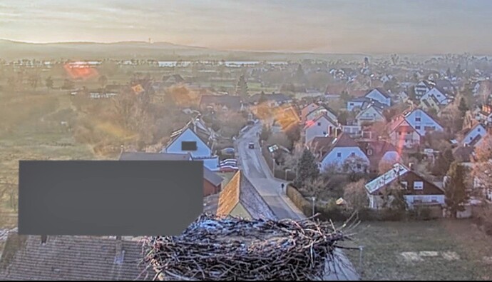 Screenshot_2024-01-14-16-17-22-322_com.android.chrome