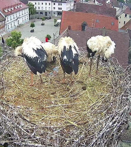 Screenshot_20230608_174513