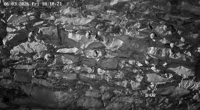 2026-03-06_3 ab 18.00 Keller fast leer