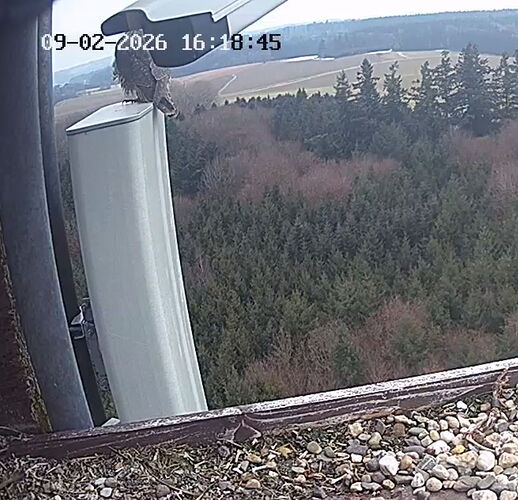 Snap_2026.02.09_16h18m24s_019_