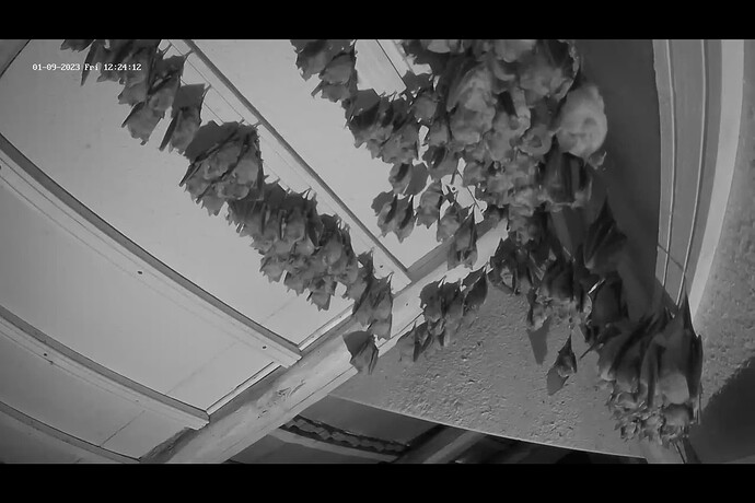 Screenshot (228)