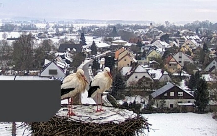 Screenshot_2026-01-28-08-13-35-008_com.android.chrome~2