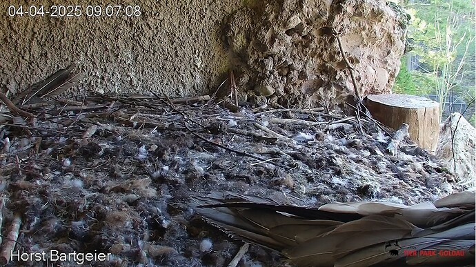 Langschläfer 04.04.25