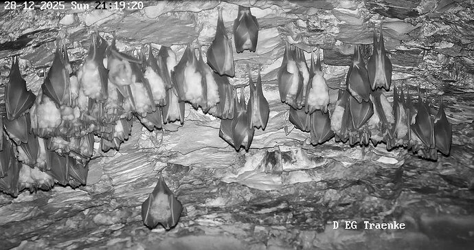 2025-12-28 ab 21.00_1