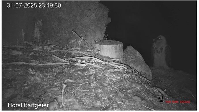 Screenshot_20250731-235037~2