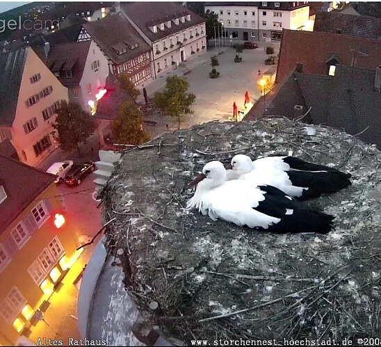 Screenshot_20230929-192738~2