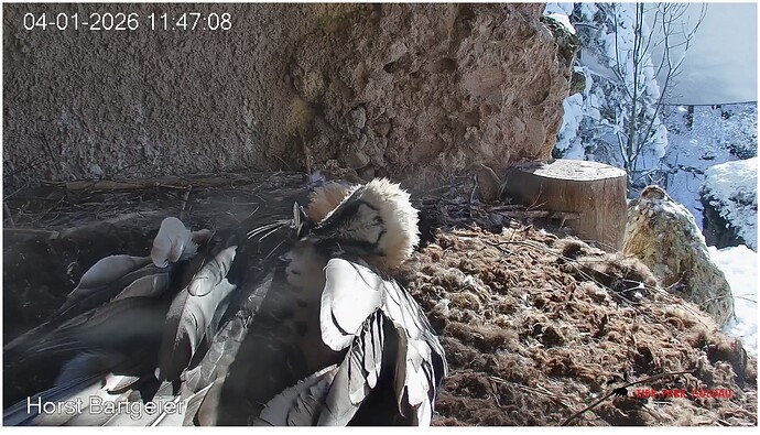 Screenshot_20260104-114812~2