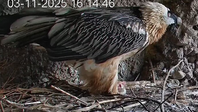 M mit Beute 03.11.25