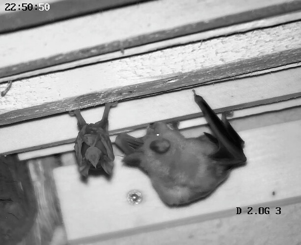 Screenshot_20250611-225105_Samsung capture