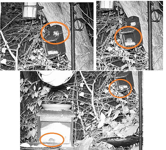 Snap_2025.10.31_18h30m22s_013_