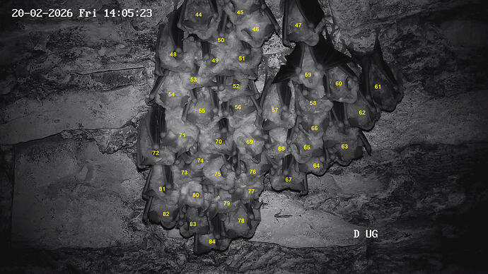 06 20260220140524538-41-Gesamtcluster 84