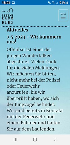 Screenshot_20230507-180455_Chrome