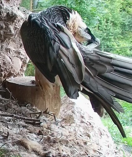 Screenshot_2025-09-12-19-00-43-187_com.android.chrome