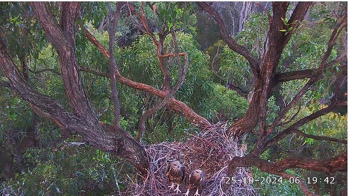 Screenshot 2024-10-24 230204