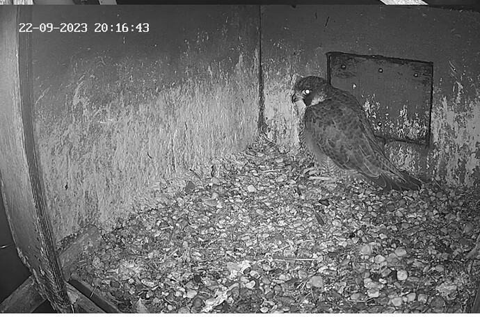 Screenshot_20230922_211441_Chrome