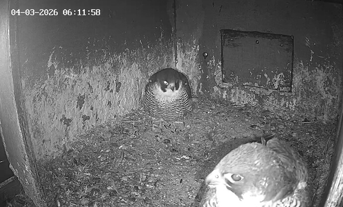 Screenshot_20260304_060520_Samsung Internet