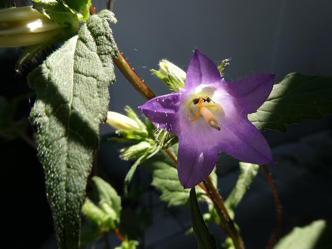 P1051715