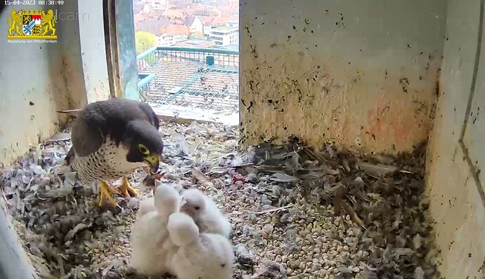 Screenshot_20230415-083903_Samsung Internet