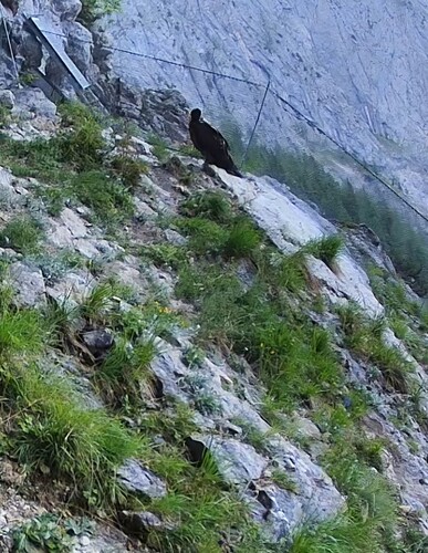 Screenshot_20250610_183139_Firefox