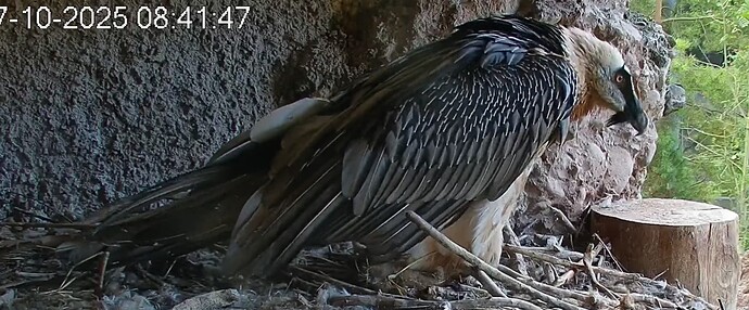 Mascha z.H. 07.10.25