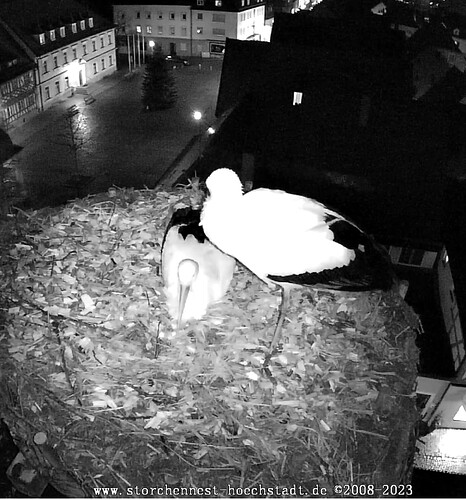 Screenshot_20231126-171237~2