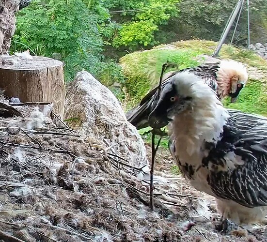 Screenshot_2025-07-23-06-29-45-079_com.android.chrome