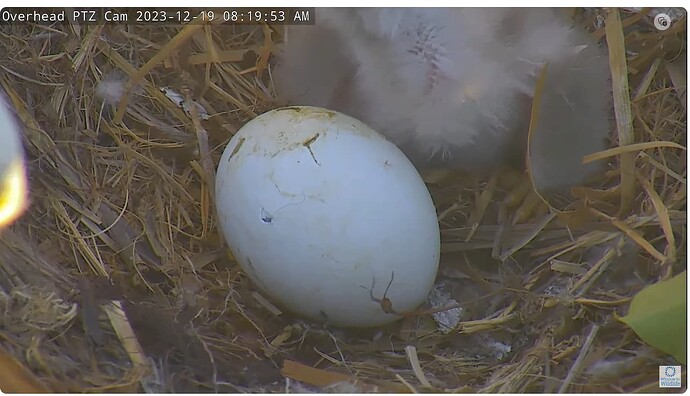 Screenshot 2023-12-19 145132