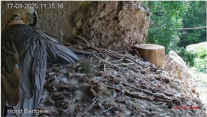 Screenshot_20250917-111626~2