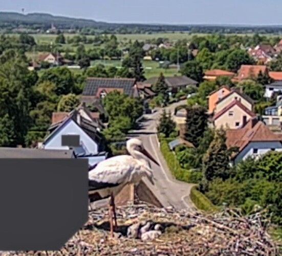 Screenshot_2025-05-11-11-48-38-627_com.android.chrome