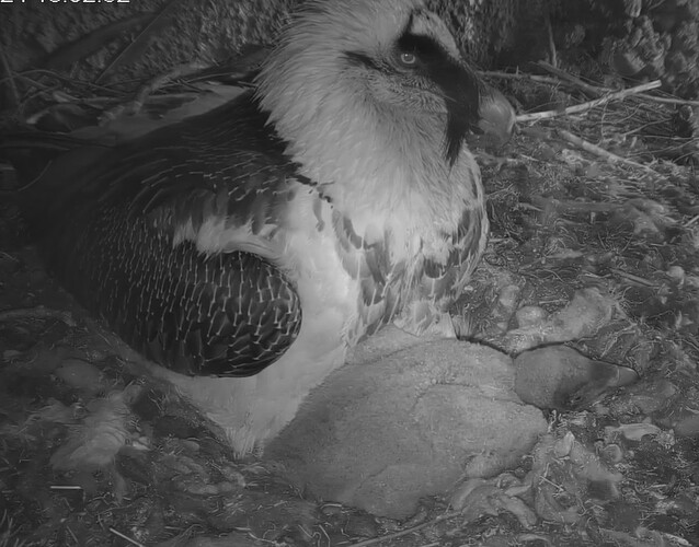 Augen fallen zu 23.03.24