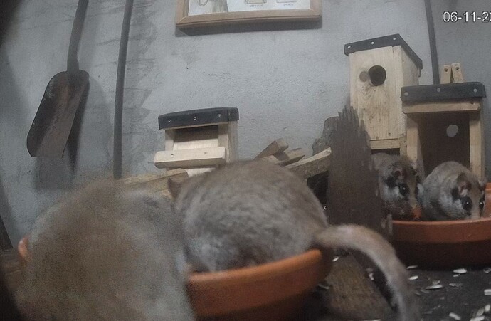 Screenshot_20231106_142117_Samsung Internet