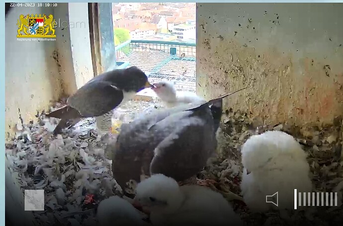 Capture+_2023-04-22-18-10-32(1)