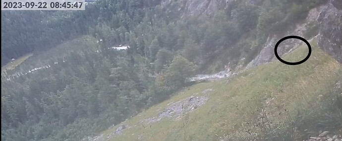 sisi und nepo 220923