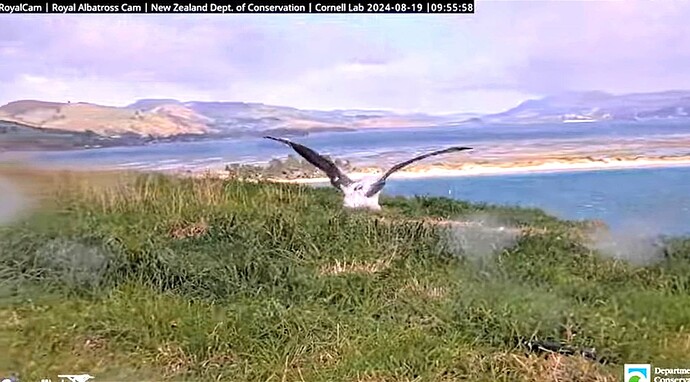 IMG_20240819_083822
