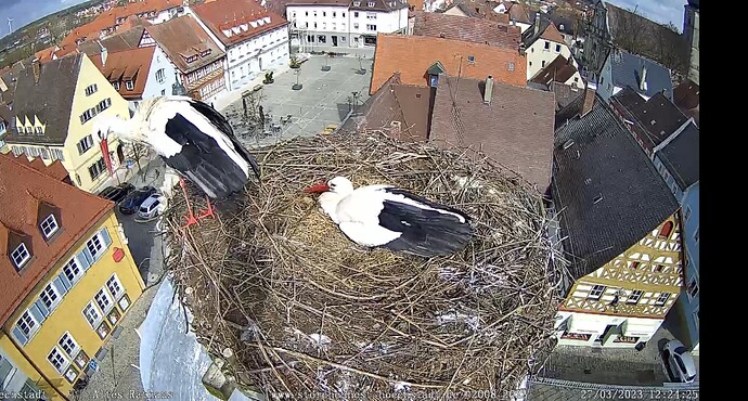 Bild