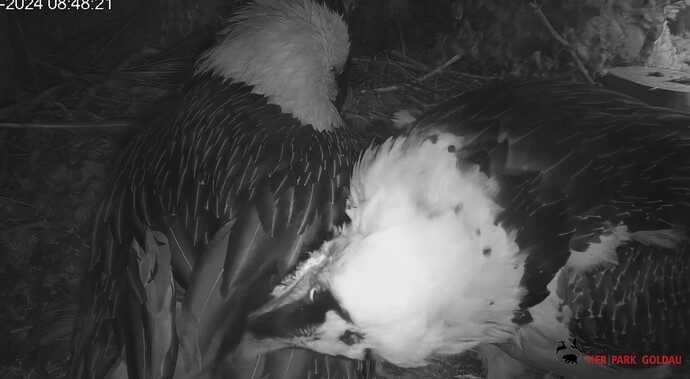 Zusammenhalt 23.03.24