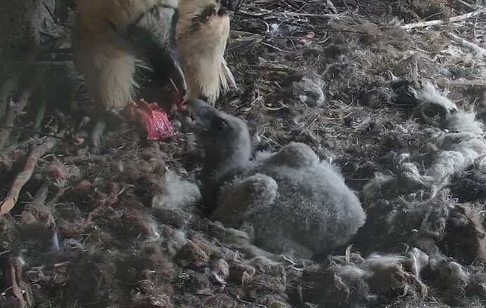 Endlich ein Magenfüller 23.03.24