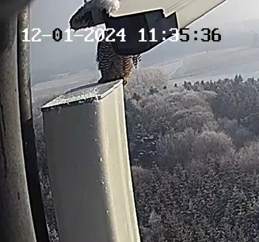 Screenshot_20240112_113439_Samsung Internet