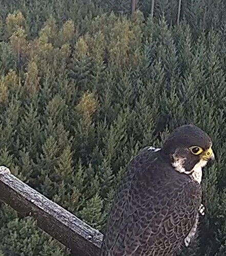 Screenshot_20230914_191628_Chrome