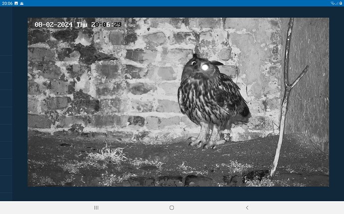 Screenshot_20240208-200650_Chrome