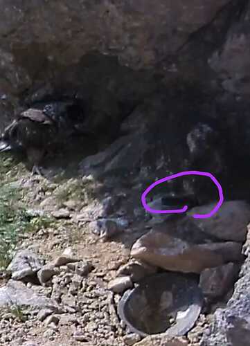 IMG-20230618-WA0001