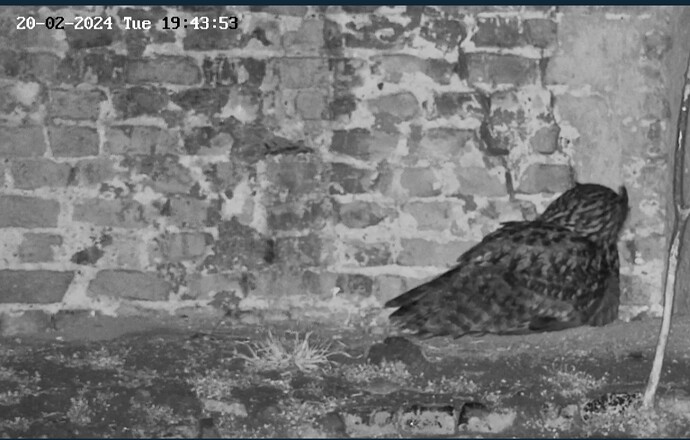 Screenshot_20240220_194407_Samsung Internet