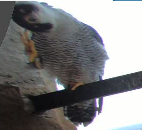 Screenshot_20250922_161721_Chrome