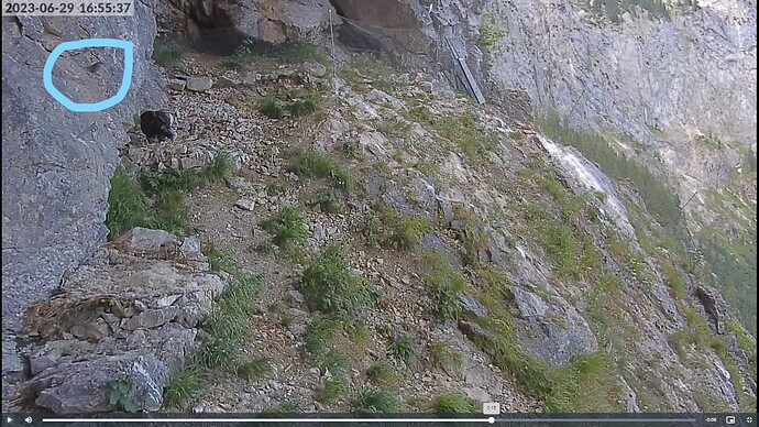 Screenshot (29)