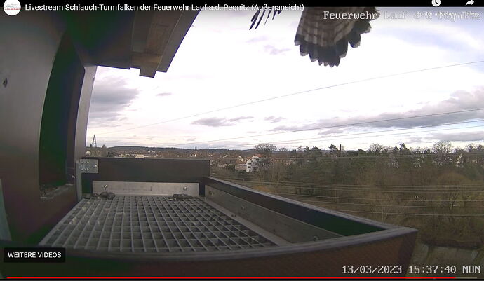 Snap_2023.03.13_16h11m37s_037_