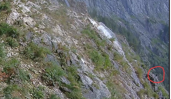 Screenshot_20230724-091822_Chrome