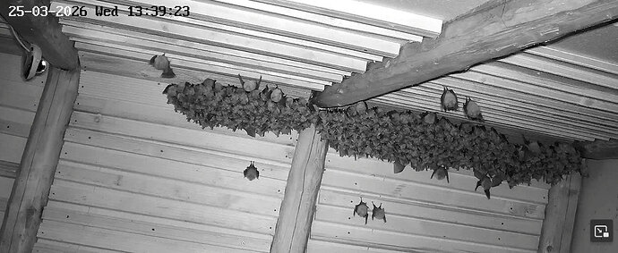 2026-03-25_1 Momentaufnahme WG 13.39