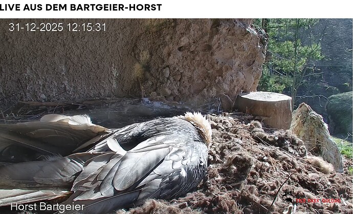 Screenshot_20251231-121634~2