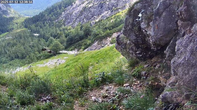 Bildschirmfoto vom 2025-07-12 12-38-40